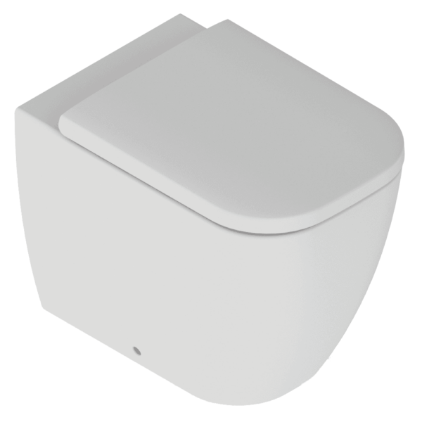 Tima Rimless Back-to-Wall Pan & Soft Close Seat - Image 2